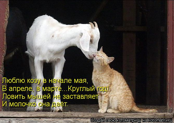 c666059bdd93c4cf5b401e328973f830.jpg