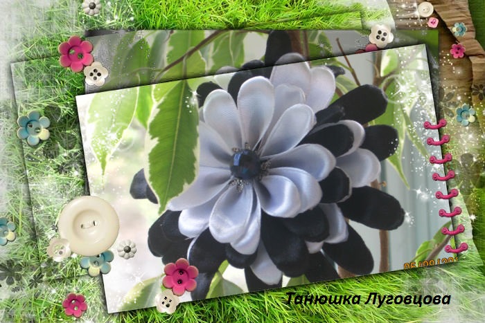 9cd4d8fda66fb88587d91a33cd98d27c.jpg