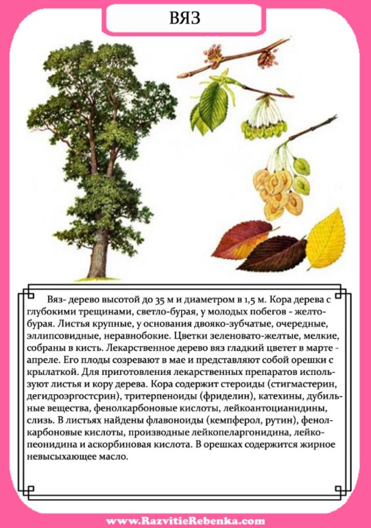 67be730ce8f6bda882002c995fee590b.jpg