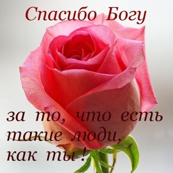 22df8a91a11bbdbf5805436c0afb91c5.jpg