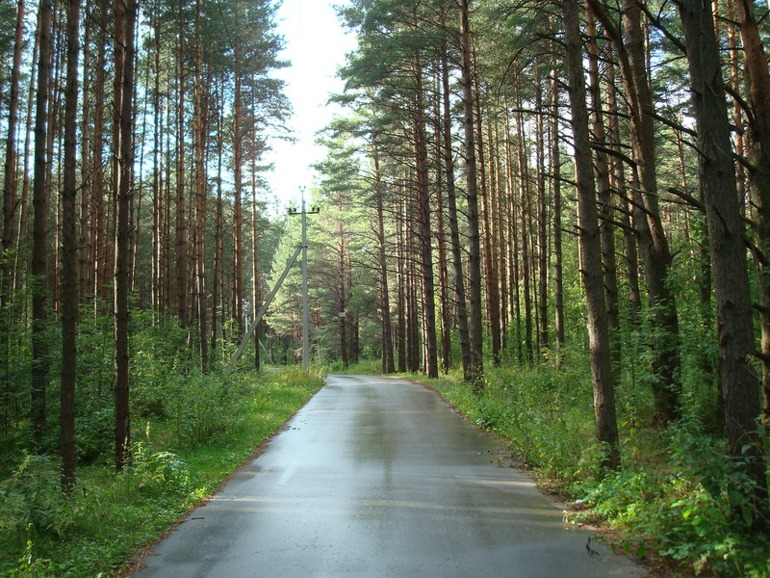 Продажа участков в Зеленогорске В городе Зеленогорске компания