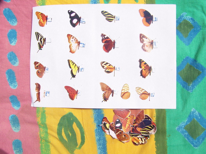 c79caddae5f6e91f9f2aa94c85940ba9.jpg