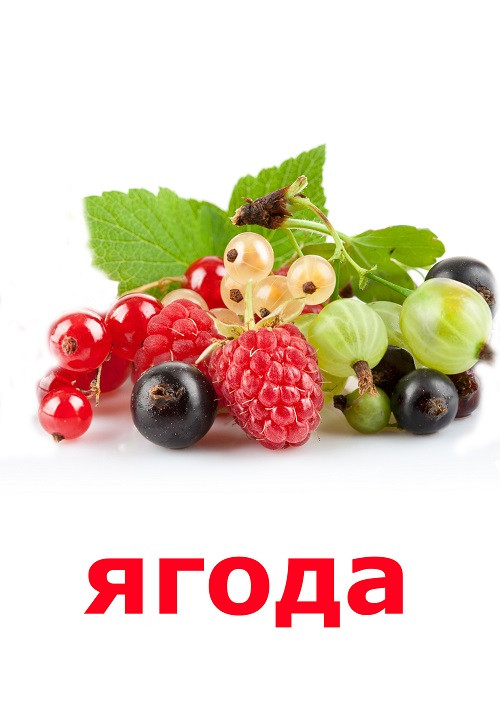4f07c1d7b70fee4e8f82f94ce3393eb9.jpg