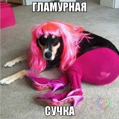 d250ba954c8d5f8aed0c87ed4b49811f.jpg