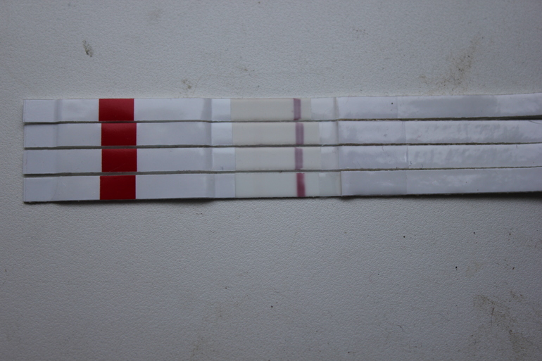 11fa94e8ec6a0bac0735afacd472fb74.jpg
