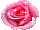 36e8856acc67109732491243cbadd4fd.gif