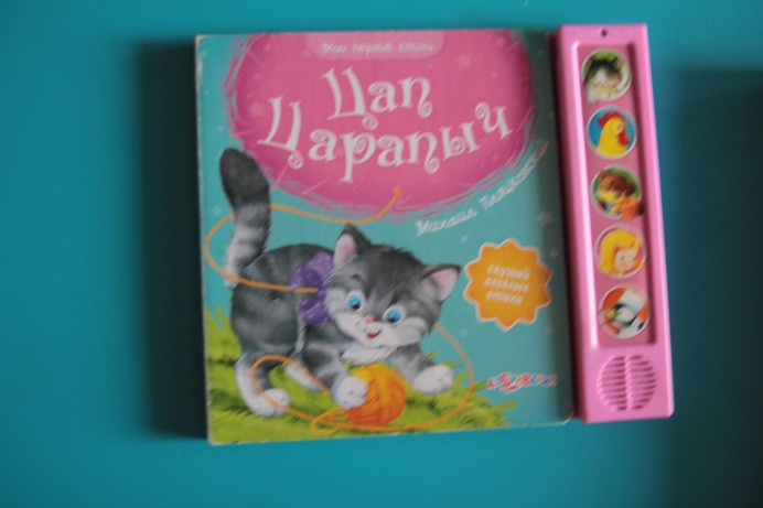 Наши книжки игрушки для самых маленьких