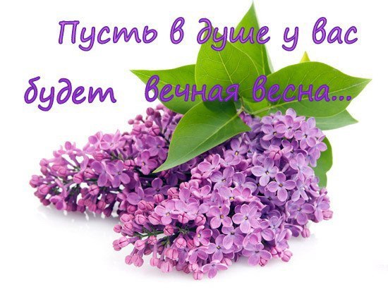 29b179865497e9c9042c1a418409679d.jpg