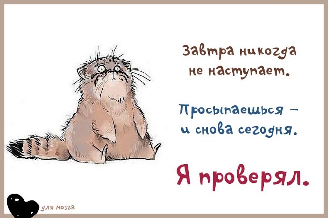 jivu i jdu chudo