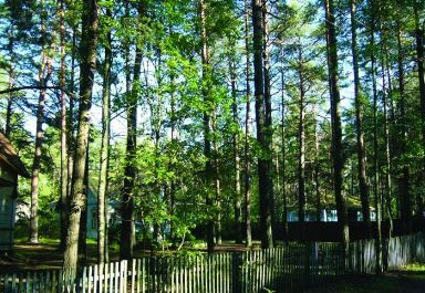 Продажа участков в Сестрорецке В городе Сестрорецке на продажу выставлено 7 земельных участков: