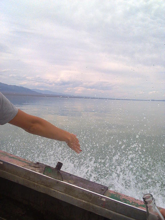 481b74531559d366f0cc1c85d69129e5.jpg