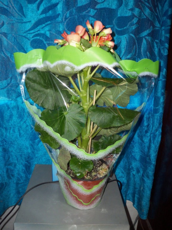 113d9990bcc7e730cc353c8ac97bf471.jpg