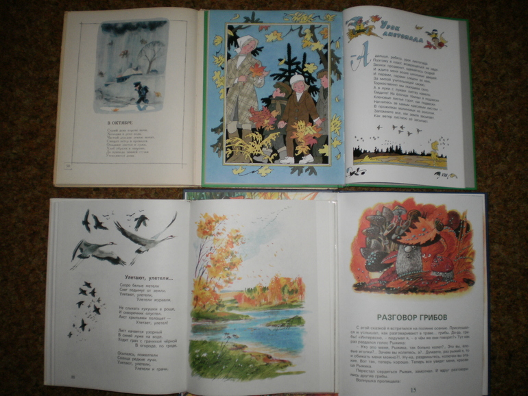 Главная осенняя книга