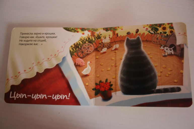 Книжки с кармашками