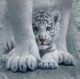 Оксана