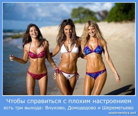 7ec22ae736897ea5b6153407f5fd4039.jpg