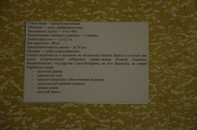 b8add135f44a9b7e0edb72e206f69cc9.jpg