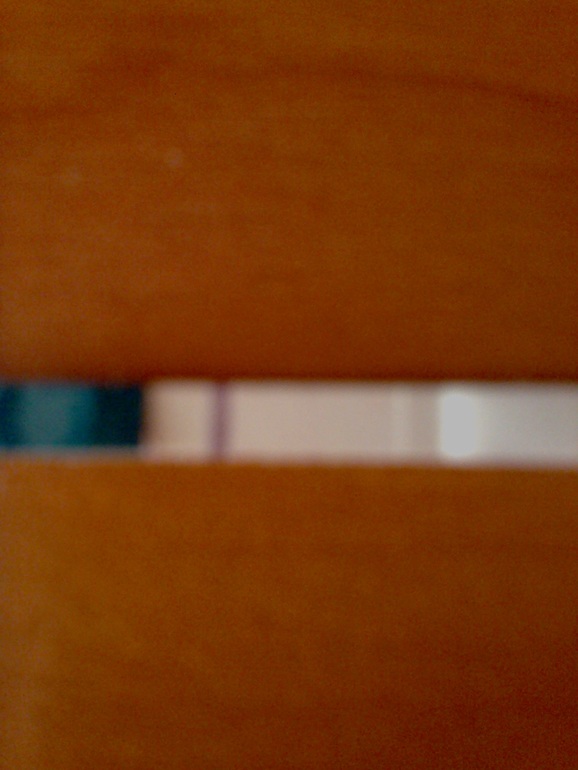 cf0a79692d320d43cfebc47c07a12bc7.jpg