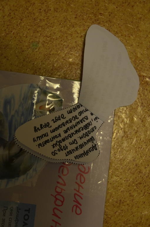 a197df36813e29f517cad49f2d7161cf.jpg