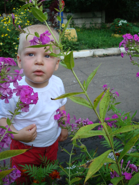 a83725d4378552f3857a1a02ae370bc9.jpg