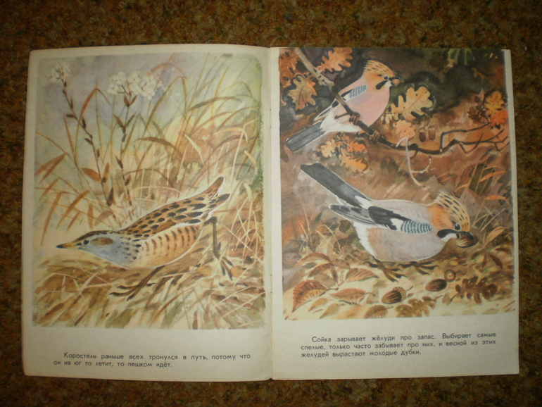Главная осенняя книга