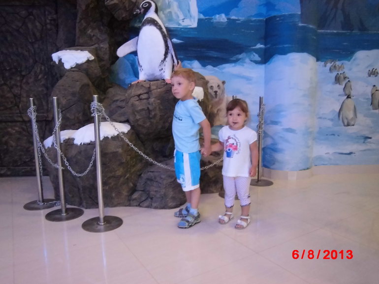 d479f2f2d9d98d39b9246ebe76160a90.jpg