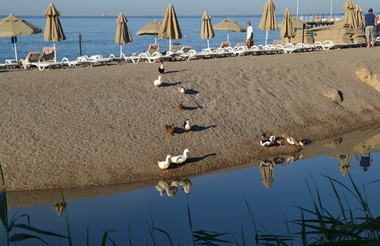 Отдых 2013. Турция, отель Sunrise Park Resort & Spa 5*