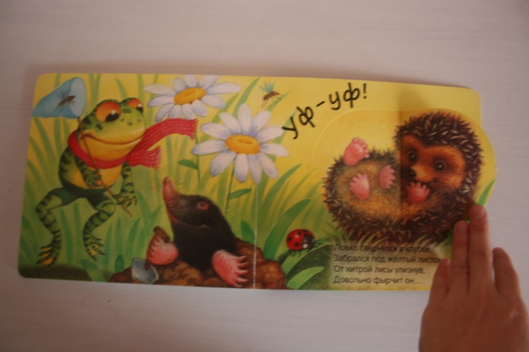 Книжки с кармашками