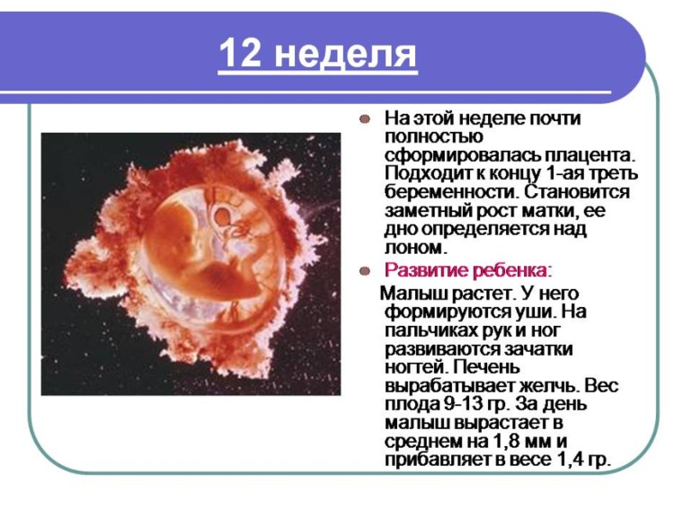 Немного о Б....Моя презентация о прекрасном мгновении в жизни женщины)