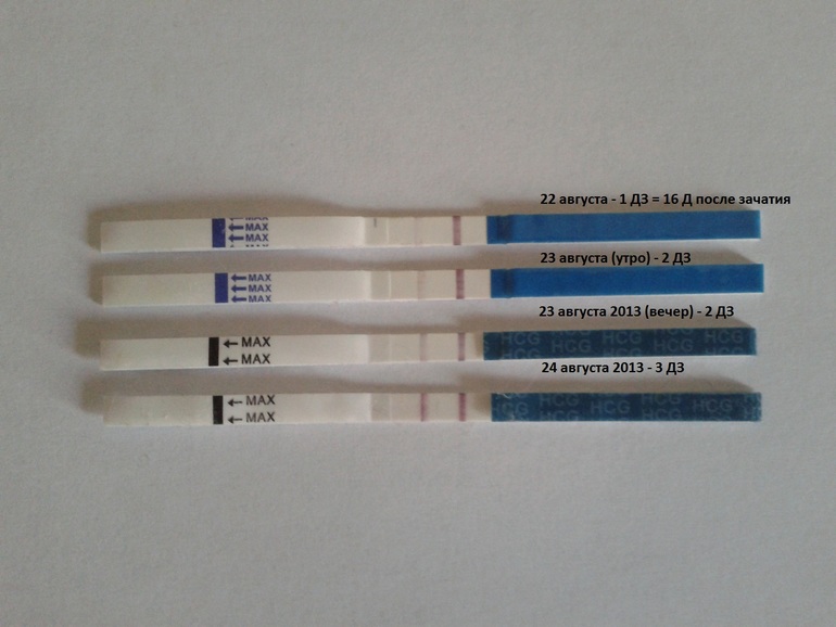 fd878ceb4c93a49e45afae46c3c465a3.jpg