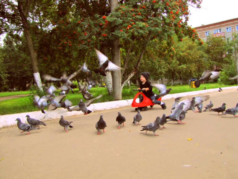 3c5e84cbc9d0545c9cc93946a8c0319f.jpg
