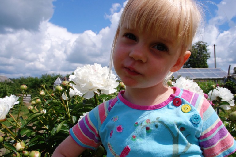 d05334b385ae8ebd29d7cbcf187785ed.jpg