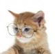 Dmitriy