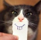 loo