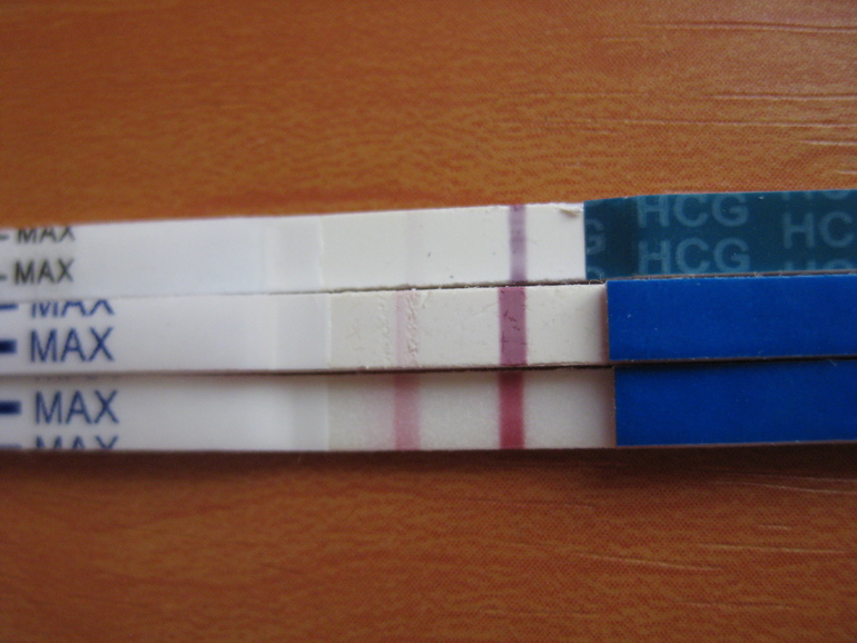 69ce9da080c8b635cdc0255247f22b83.jpg