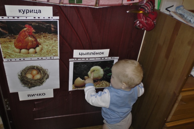 Цыпленок.