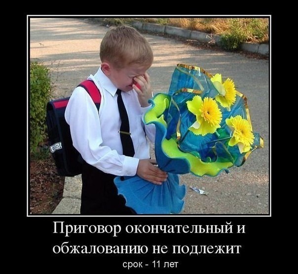 dbd6db0ae04e8b420d86fc5dfd42ee71.jpg