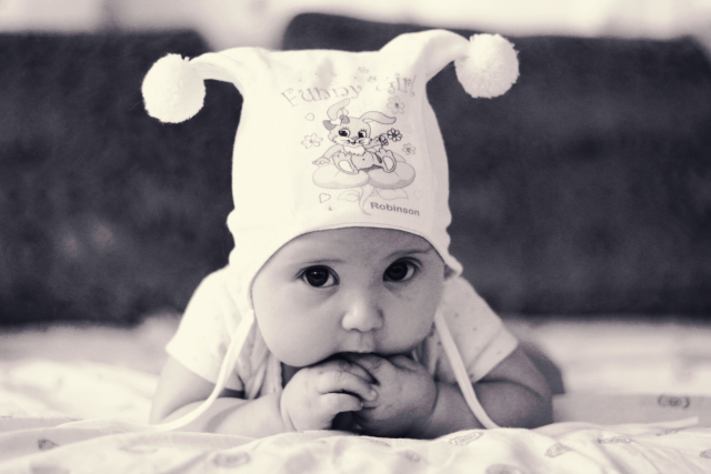 2be558db51d8fbea8a16dd8f7f44f2b0.jpg