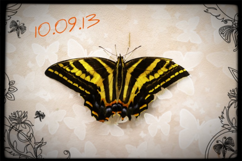 9705ba50381f8a194dced1076db7d93d.jpg