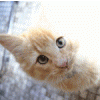 6243fb9f74da66354777cb7e71138ff9.gif