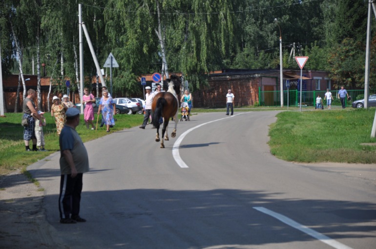 adac8a7792e4874c3442c54ead560518.jpg
