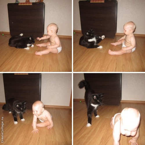 824d2b3e8e96b39b52b4e6bef89a03bb.jpg