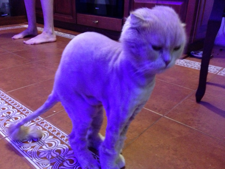 КОТЭ