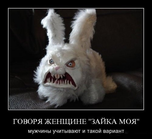 617bd30d4ec0b52d38b641a06d214c47.jpg