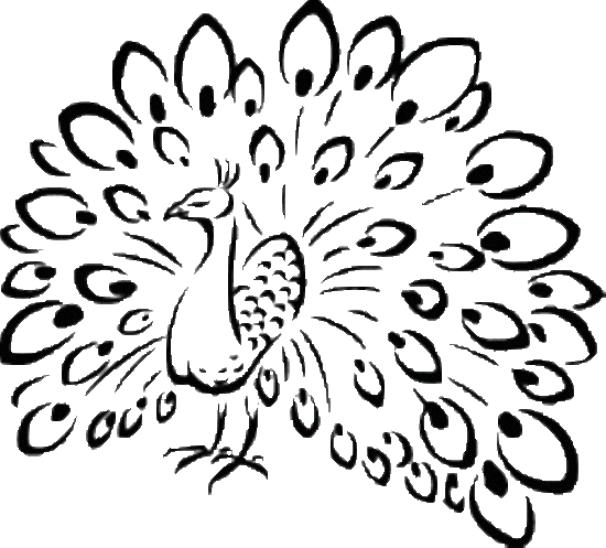 0b24cf25dcb594e59e8d1824fd68dc3f.gif