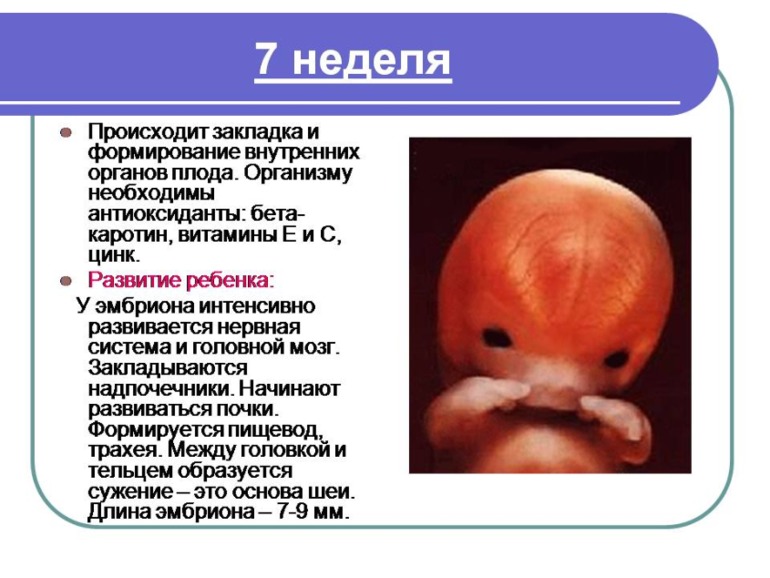 Немного о Б....Моя презентация о прекрасном мгновении в жизни женщины)