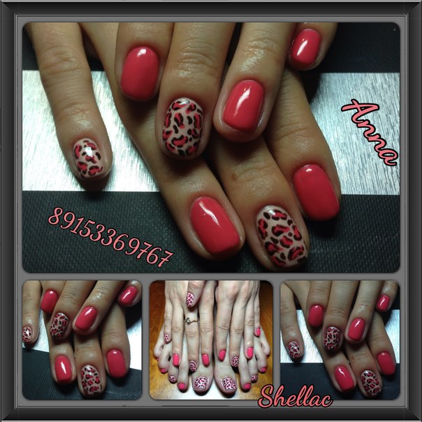 5cb1a591b78aaf3044a6cccc115fd9f2.jpg