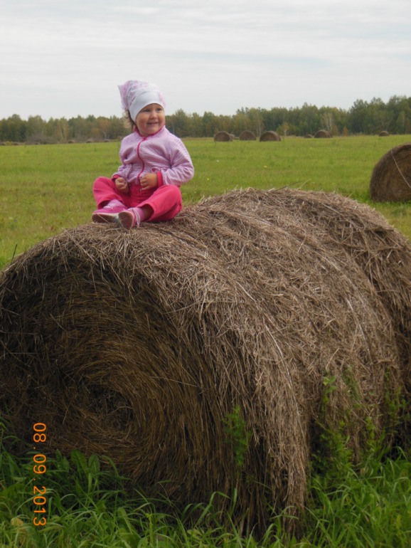 64f46ee9863ef8fbf45a2b5820523121.jpg