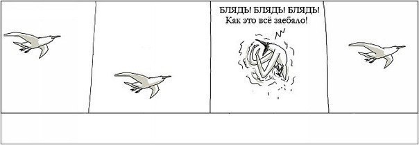 cbe32d4ba3b87697eaffc7d95a05c8ae.jpg