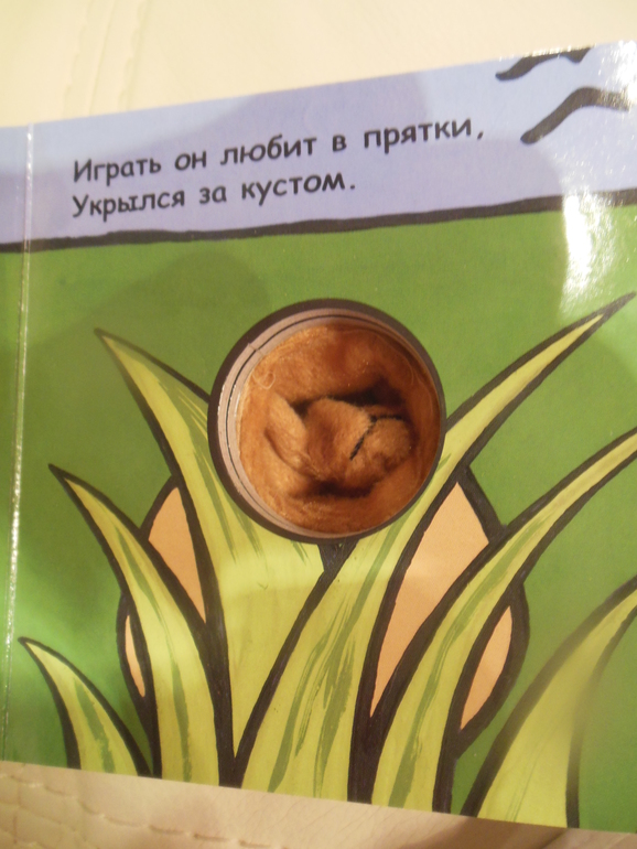 53b73a3834221cb77da0dd90dd98eace.jpg